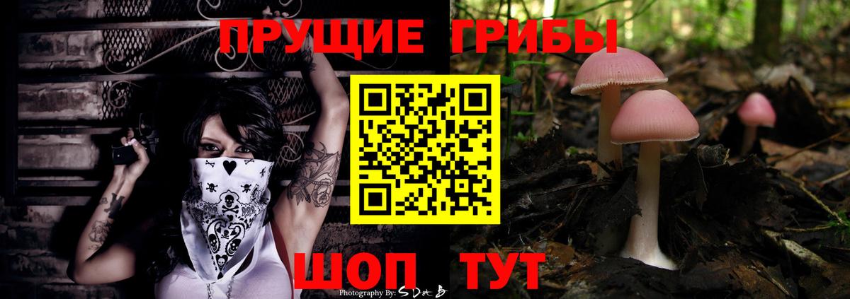 Псилоцибиновые грибы мухоморы Петропавловск-Камчатский