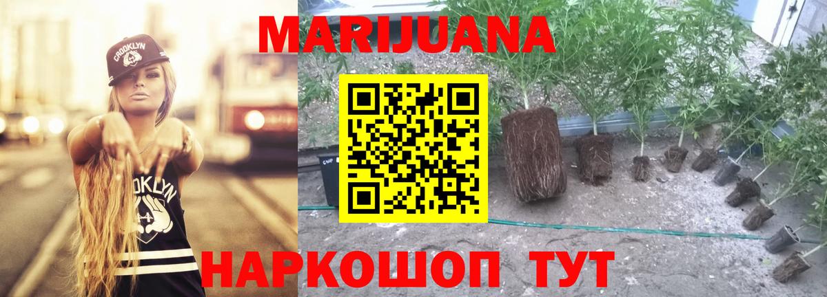 Петропавловск-Камчатский  Каннабис планчик  Вход с VPN  Каннабис гибрид 